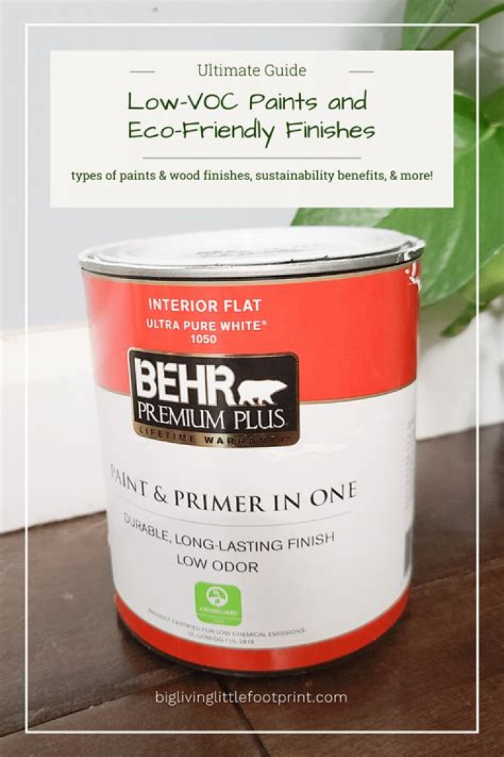 Can i paint with low voc while pregnant?
