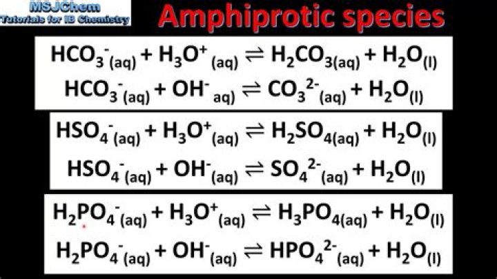 How does amphiprotic substances work?