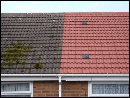 Roof Cleaning Dundee