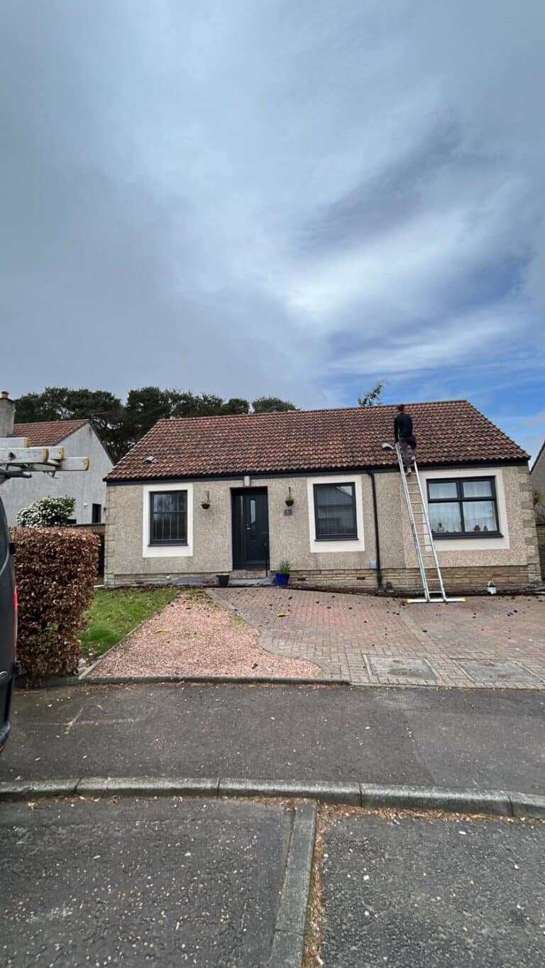 Rated Roofing - Roof Cleaning